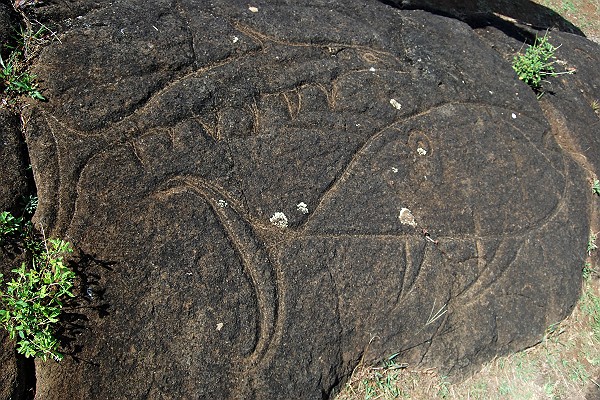 Fish Petroglyphs at Rano Kau