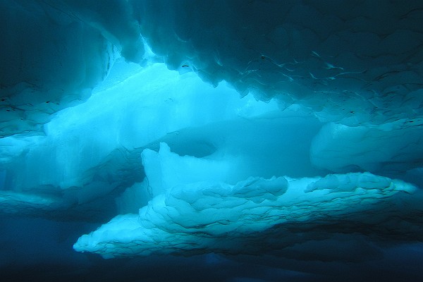 Under The Ice
