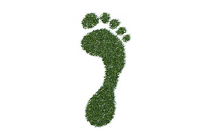 3D Green Footprint