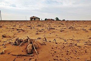 Drought Stricken Landscape