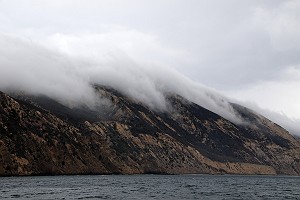 Flowing Fog on Santa Cruz Island