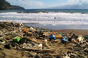 Kanapou Bay Beach Debris