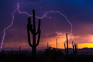 Saguaro National Park Lightning
