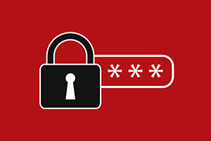 Vector Password Security