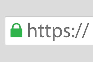 Vector Secure HTTPS