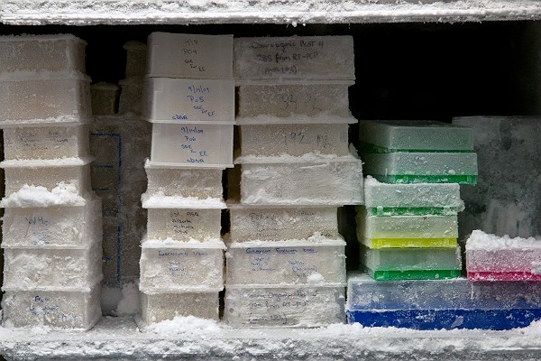 Frozen DNA Sample Storage