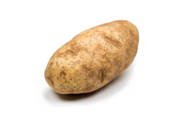 Russet Burbank Potato on White
