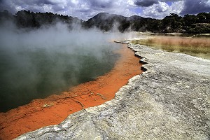 Champagne Pool in New Zealand