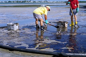 Cleaning Oil off a Beach at Low Tide