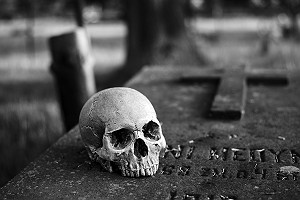 Human Skull At Graveyard