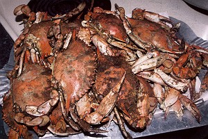 Vintage Steamed Crabs